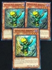 Genex Ally Birdman
