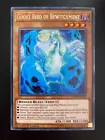 Ghost Bird of Bewitchment