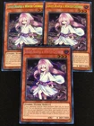 XX-Saber Gottoms