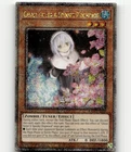 Ghost Sister & Spooky Dogwood