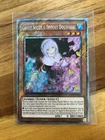 Ghost Sister & Spooky Dogwood
