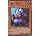 Giant Rat