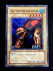 Giant Turtle Who Feeds on Flames