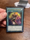 Goblin Biker Grand Crisis