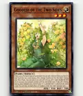 Goddess of the Two Sides