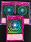 Gravity Bind