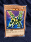 Great Moth