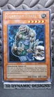 Guardian Grarl