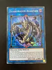 Guardragon Agarpain