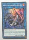 Guardragon Agarpain