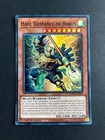 Hapi, Guidance of Horus