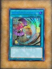 Harpie's Feather Duster