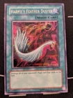 Harpie's Feather Duster