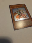 Harpie's Pet Baby Dragon