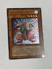 Harpie's Pet Baby Dragon