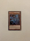 Heart of the Blue-Eyes
