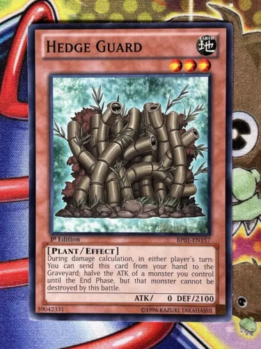 Hedge Guard