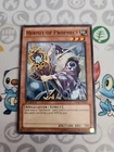 Shiny Black C