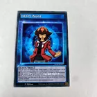 Evil HERO Wild Cyclone
