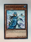 General Raiho of the Ice Barrier