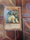 Hieracosphinx