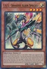 Time Thief Perpetua