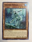 Icejade Tinola