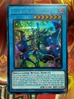 Illusion of Chaos