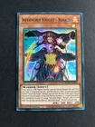 Infernoble Knight - Renaud