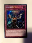 Infinite Impermanence
