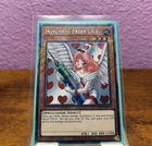 Injection Fairy Lily