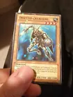 Insect Knight