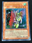 Insect Princess