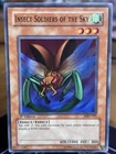 Insect Soldiers of the Sky