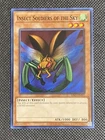 Insect Soldiers of the Sky