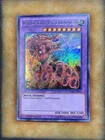 Invoked Magellanica