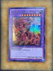 Invoked Magellanica