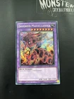 Invoked Magellanica