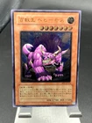 Behemoth the King of All Animals