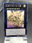 Neo Galaxy-Eyes Photon Dragon
