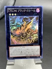 Number C96: Dark Storm