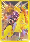 Cipher Mirror Knight