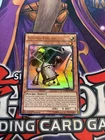 Great Poseidon Beetle