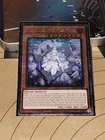 Lord of the Heavenly Prison