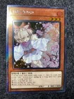 Ash Blossom & Joyous Spring