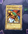 Left Arm of the Forbidden One