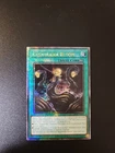 Ragnaraika Bloom