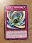 Ragnaraika Hunting Dance