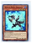 White Rose Dragon