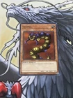 Left Leg of the Forbidden One